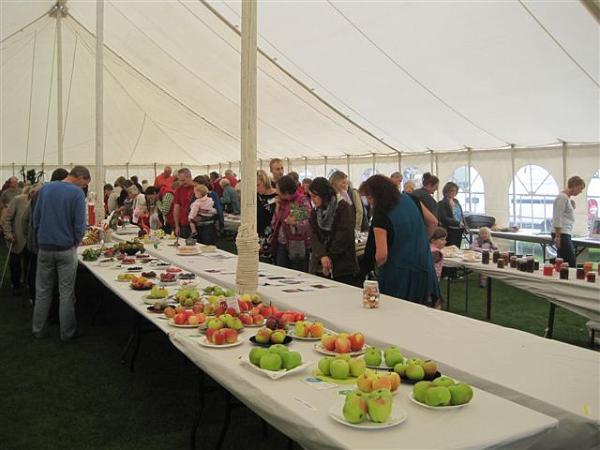 Inside the marquee.JPG